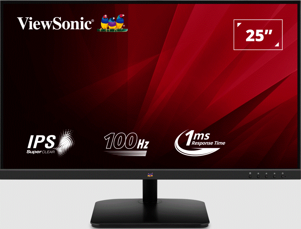 Màn hình LCD ViewSonic VA2532-H (24