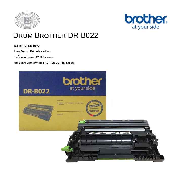 Drum mực in laser Brother DR-B022 ( cho máy HL-B2080DW,B2000D,B7535DW,B7715DW)