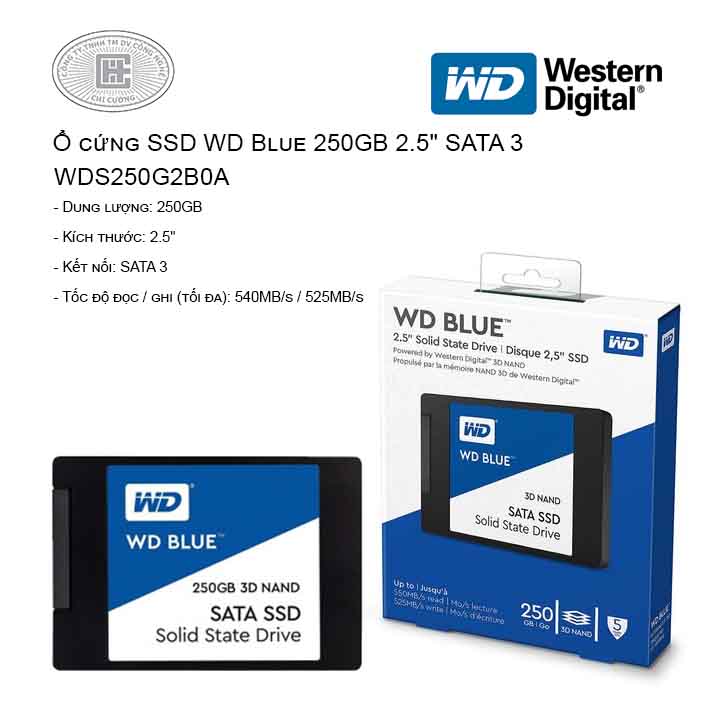 SSD WD Blue 250GB 2.5