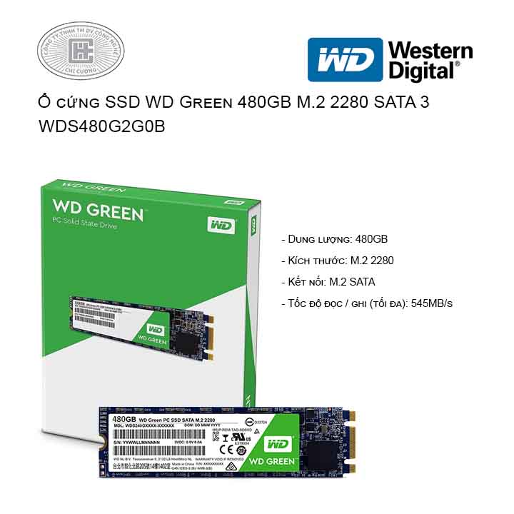 Ổ cứng SSD Western Digital Green 480GB M.2 2280 SATA 3 - WDS480G2G0B