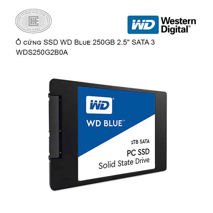 SSD WD Blue 250GB 2.5" SATA 3 - WDS250G2B0A | Công ty uy tín tại T.p HCM